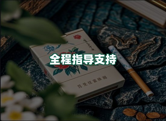 核心优势